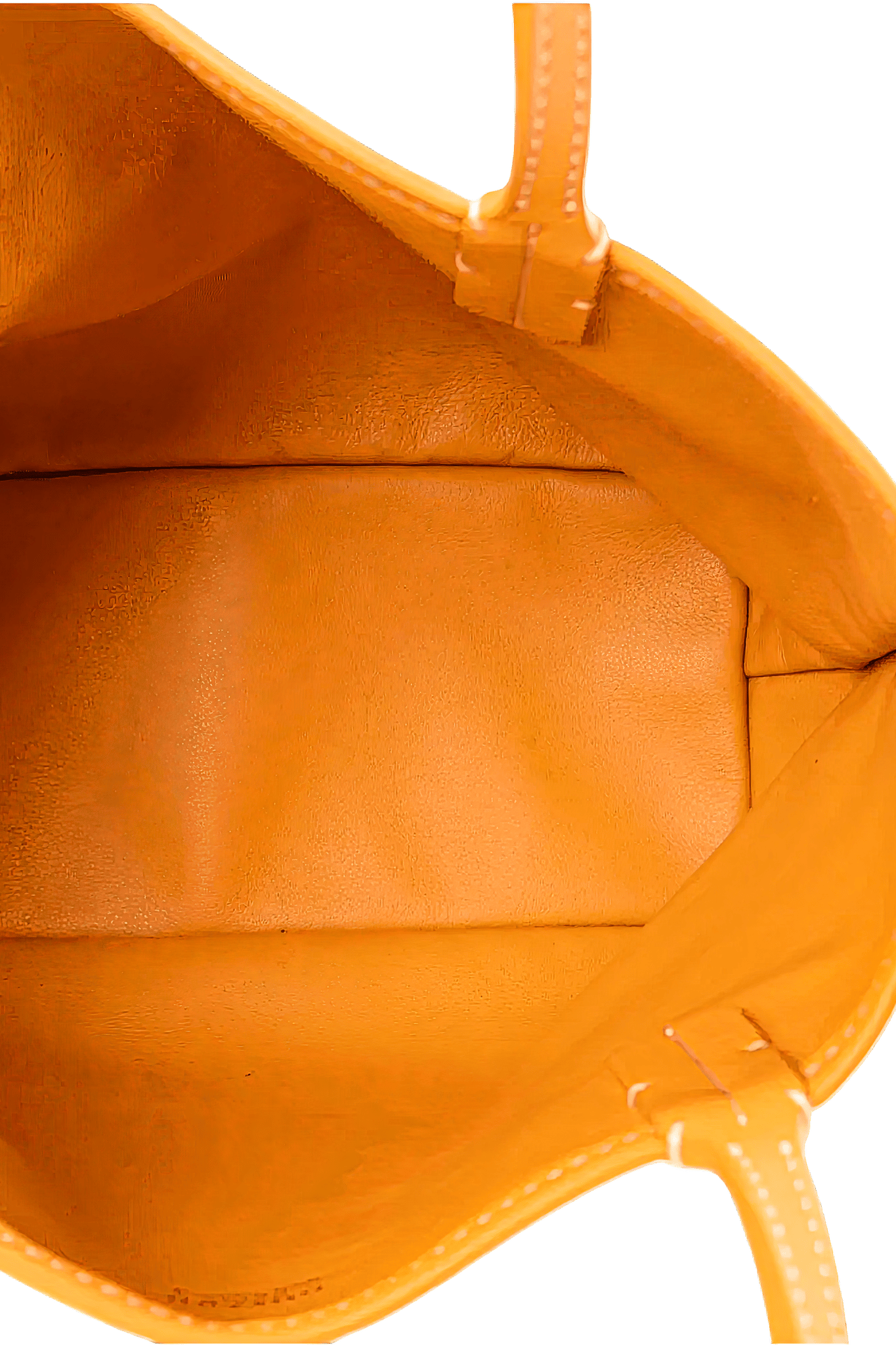 Goyard Anjou Mini bag