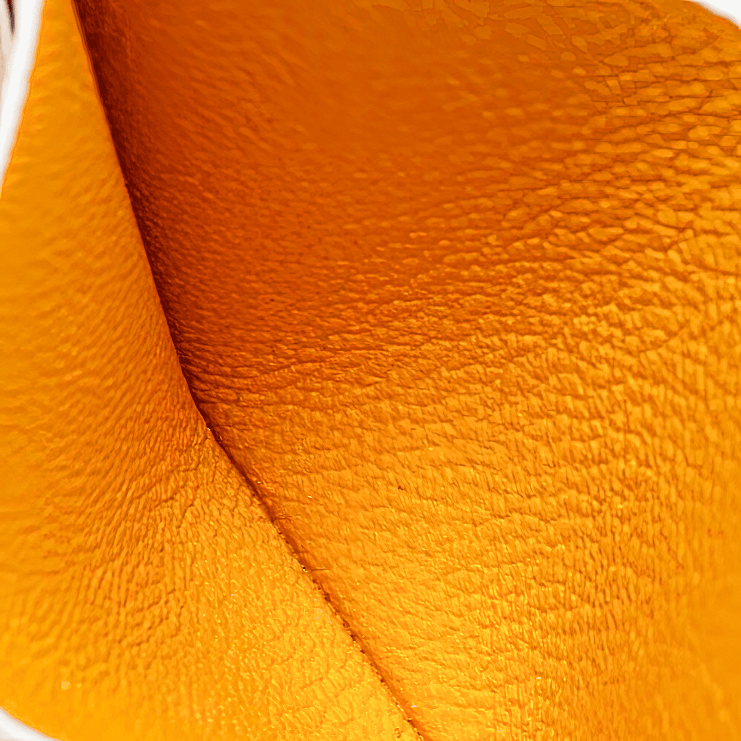 Goyard Saint-Sulpice Card Wallet