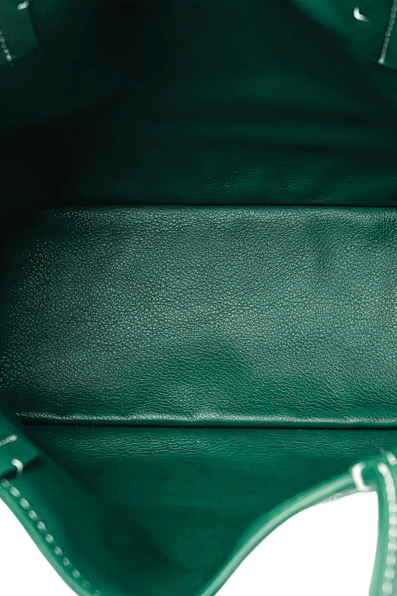 Goyard Anjou Mini bag