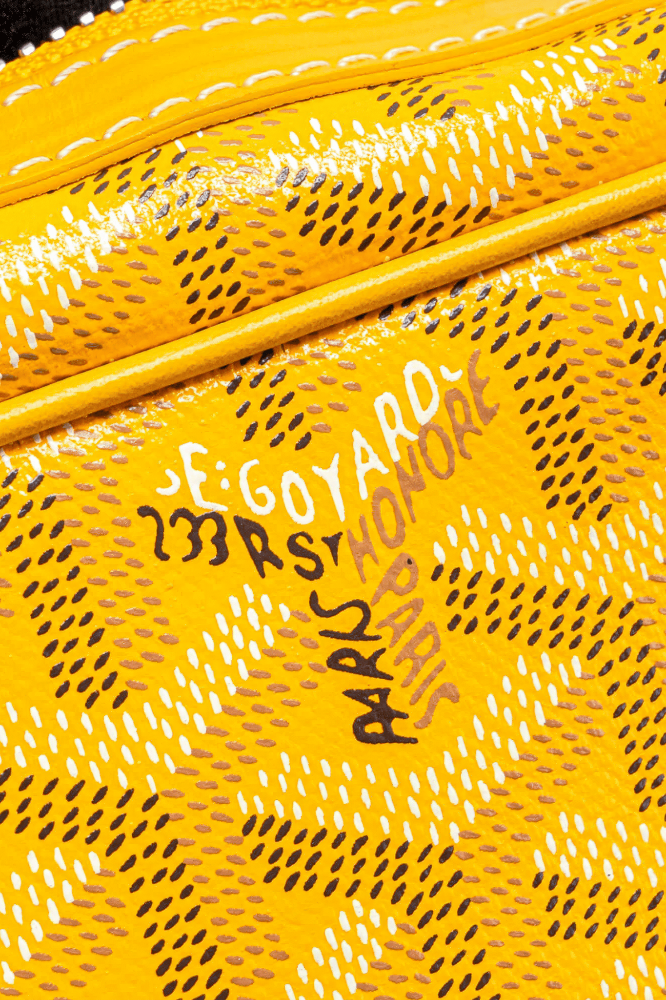 Goyard Cap-Vert PM Bag