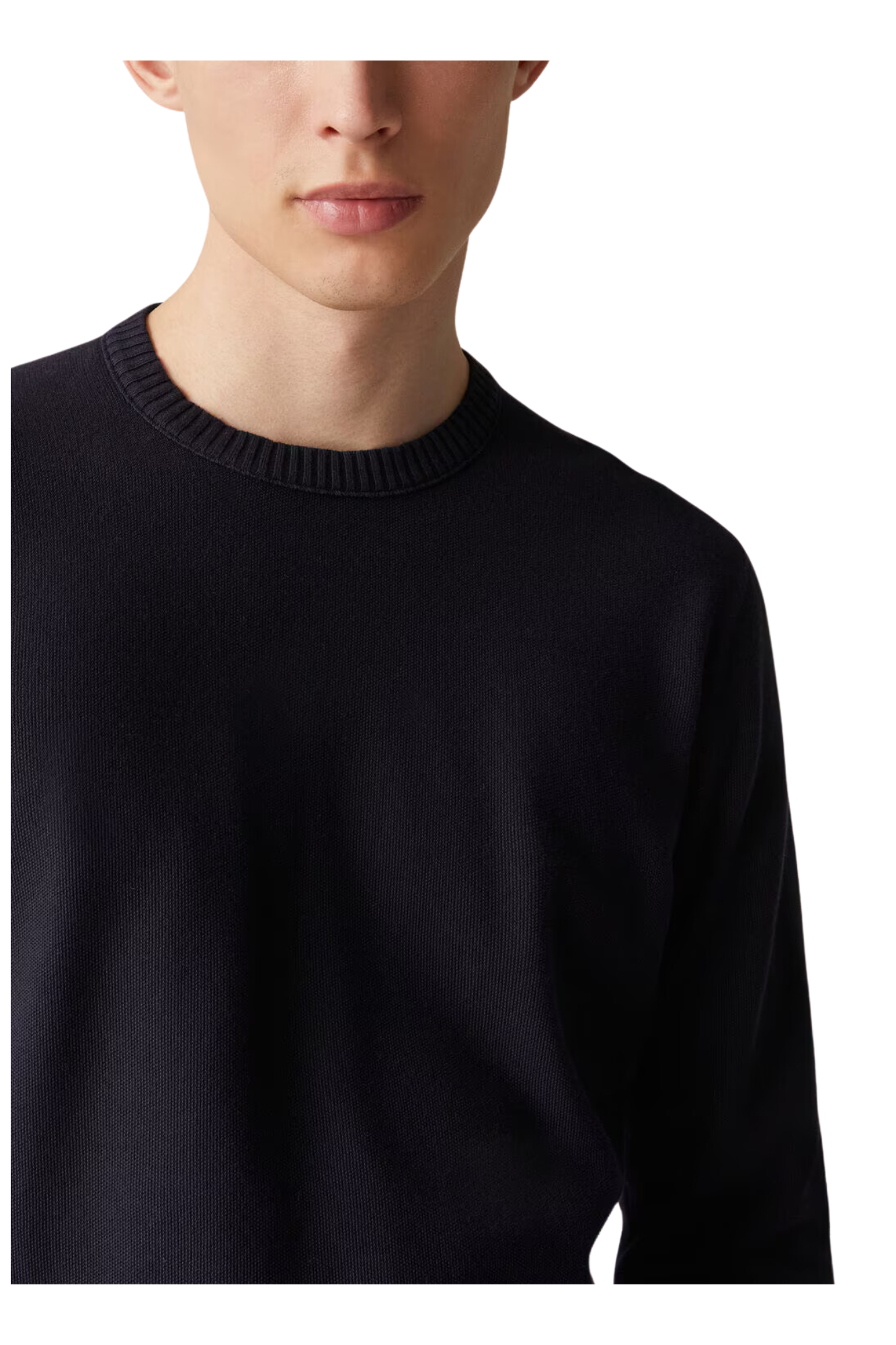 <tc>Loro Piana</tc> Walkery Crewneck para hombre