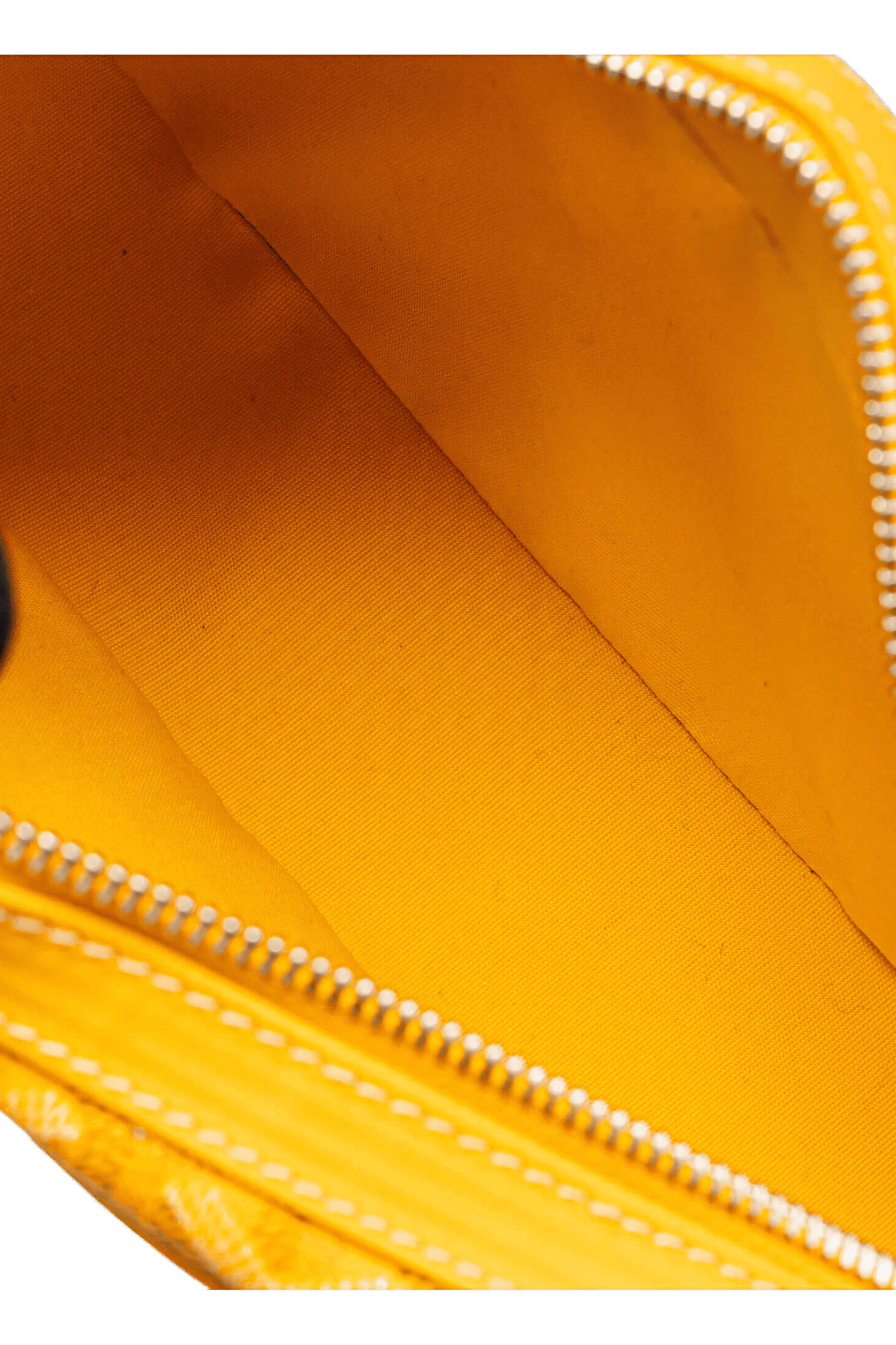 Goyard Cap-Vert PM Bag