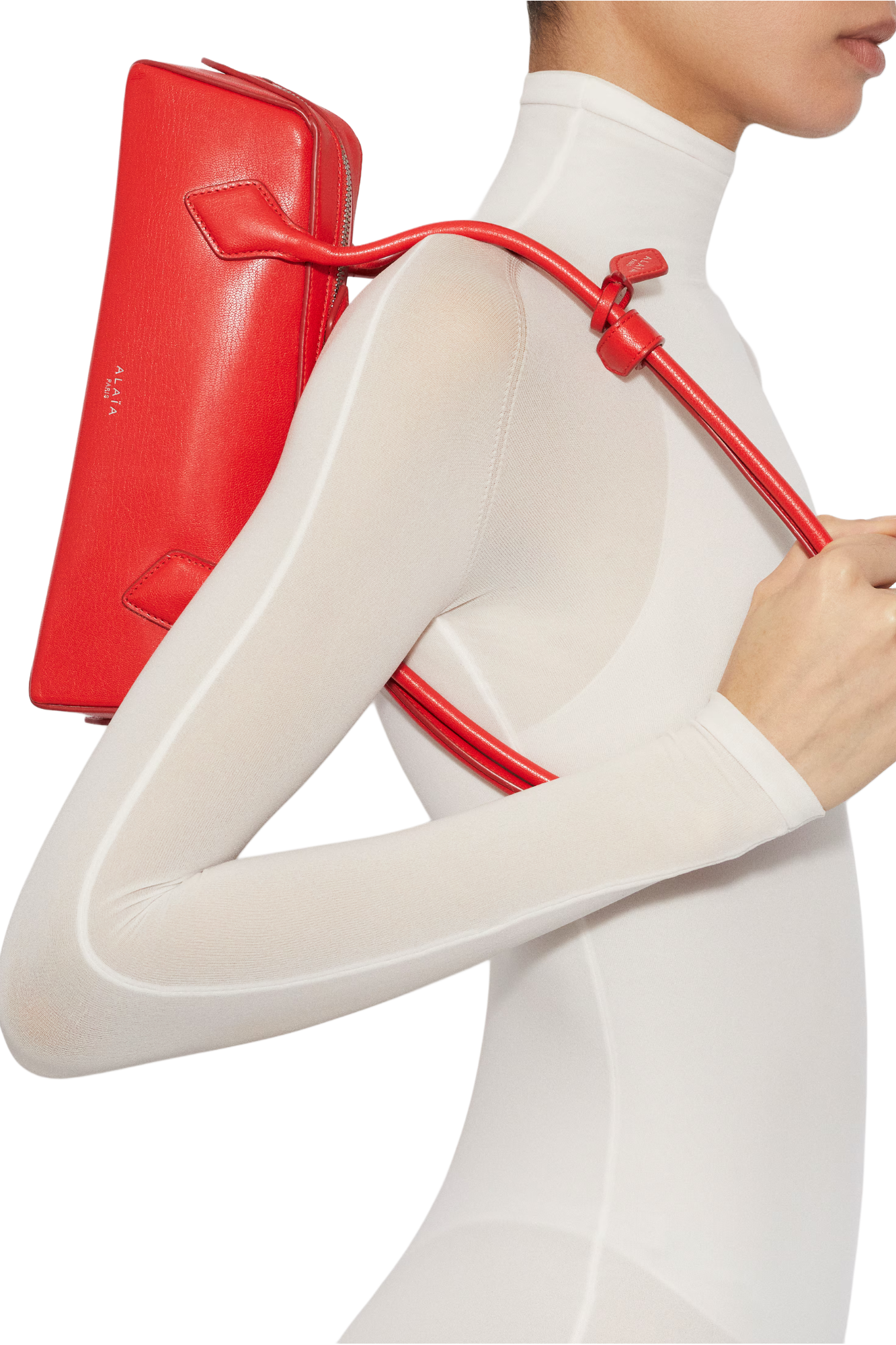 Alaia Le Teckel Small Bag In Goatskin