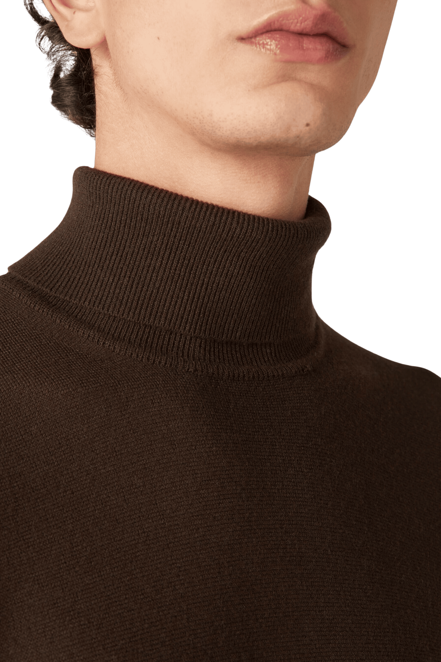 <tc>Loro Piana</tc> 男士高領衫