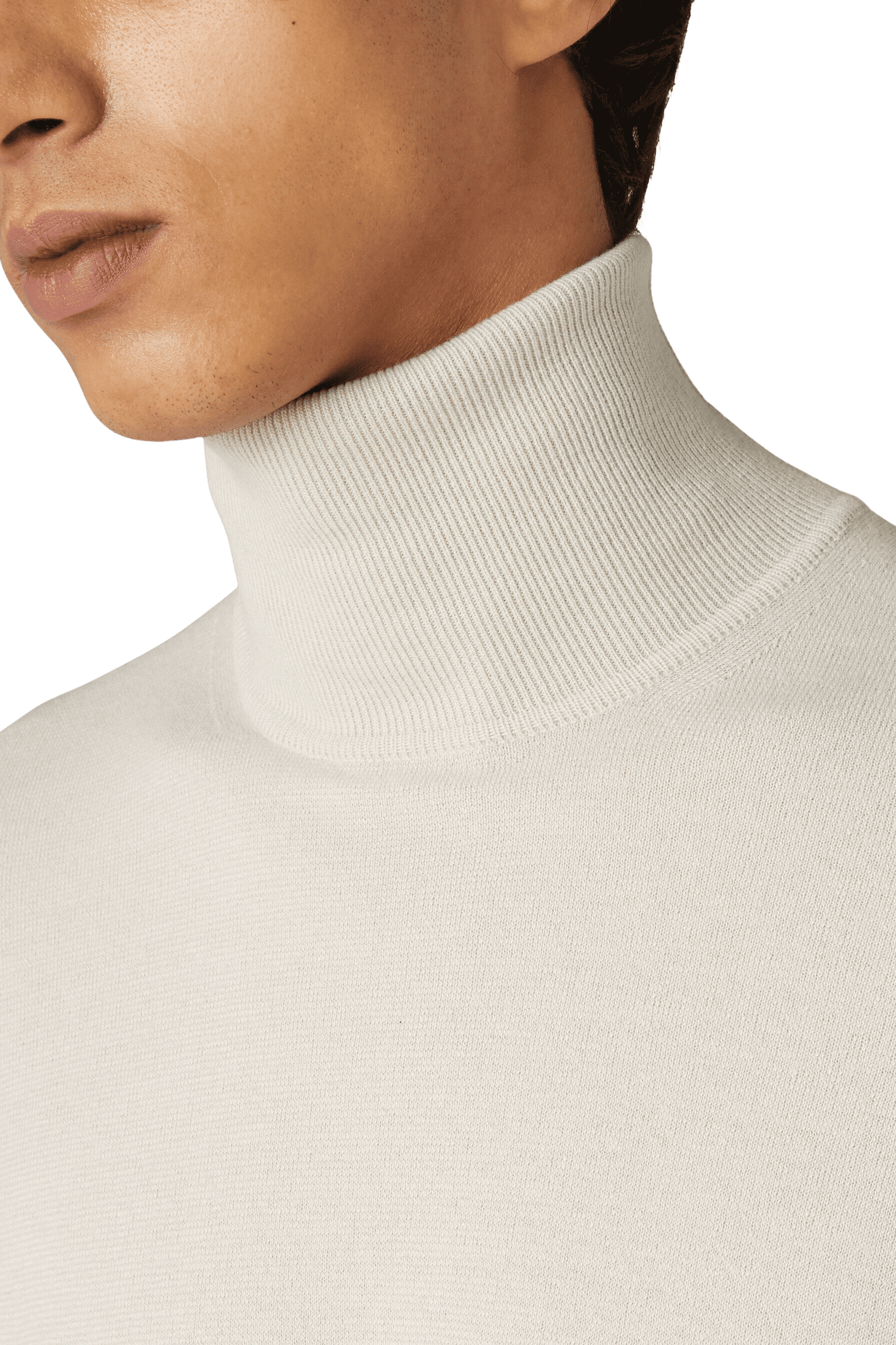 <tc>Loro Piana</tc> 男士高領衫