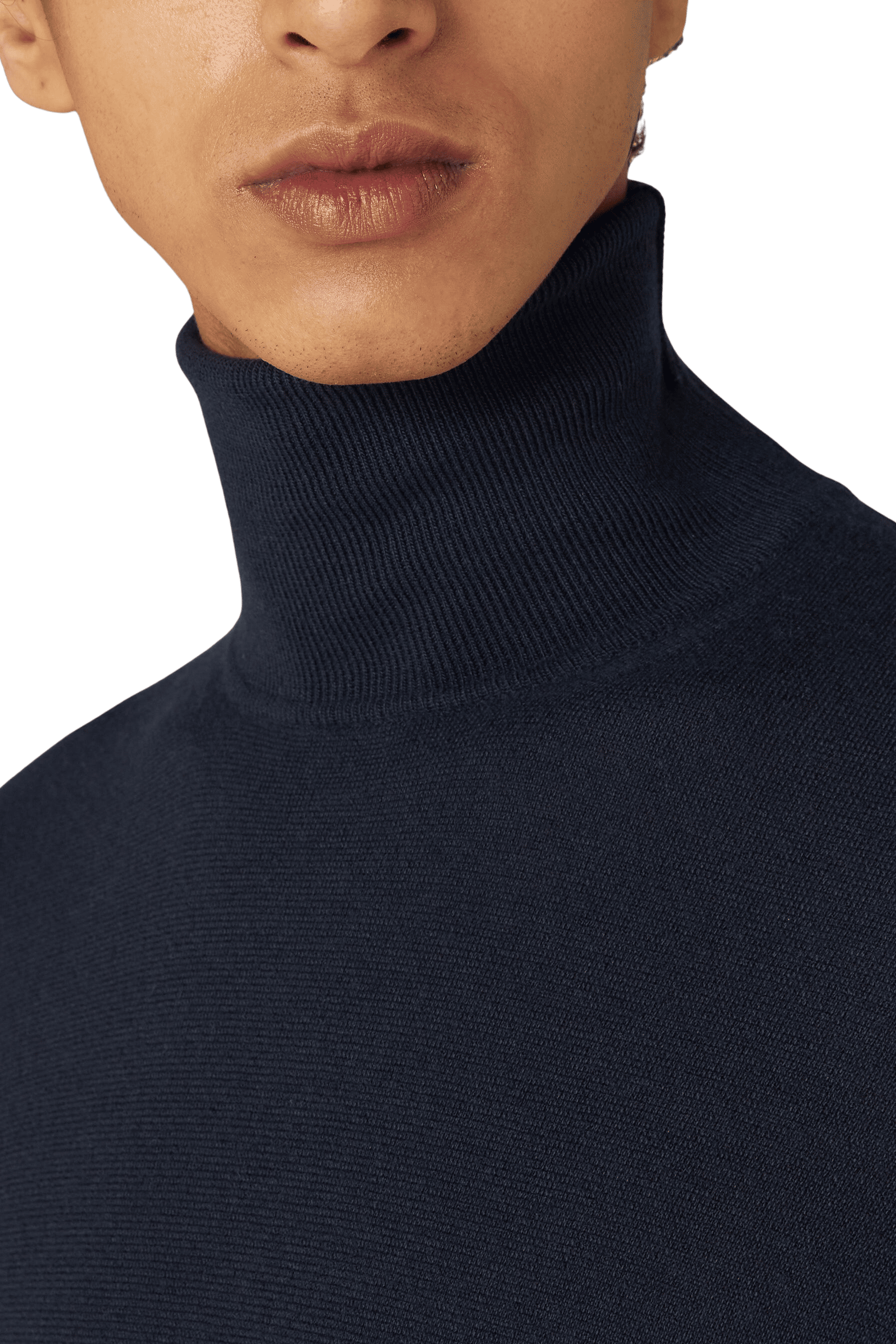 <tc>Loro Piana</tc> 男士高領衫