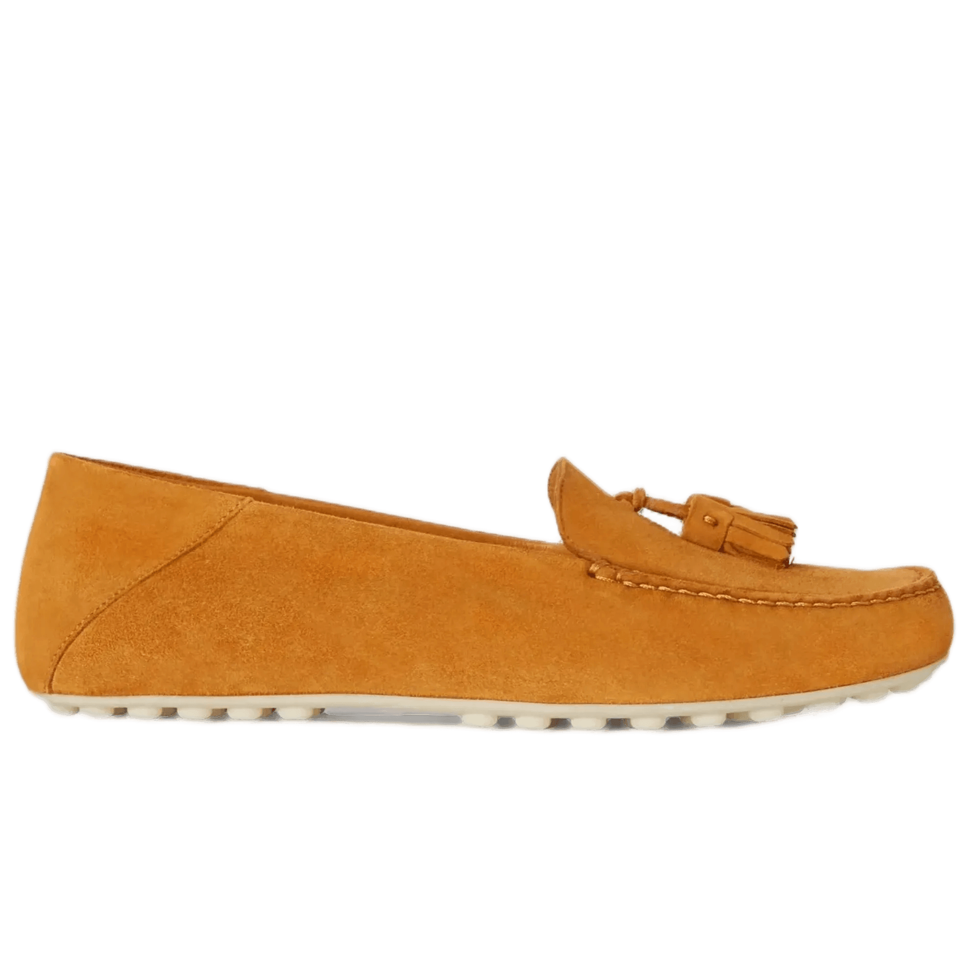<tc>Loro Piana</tc> レディース ドットソール ウォークローファー