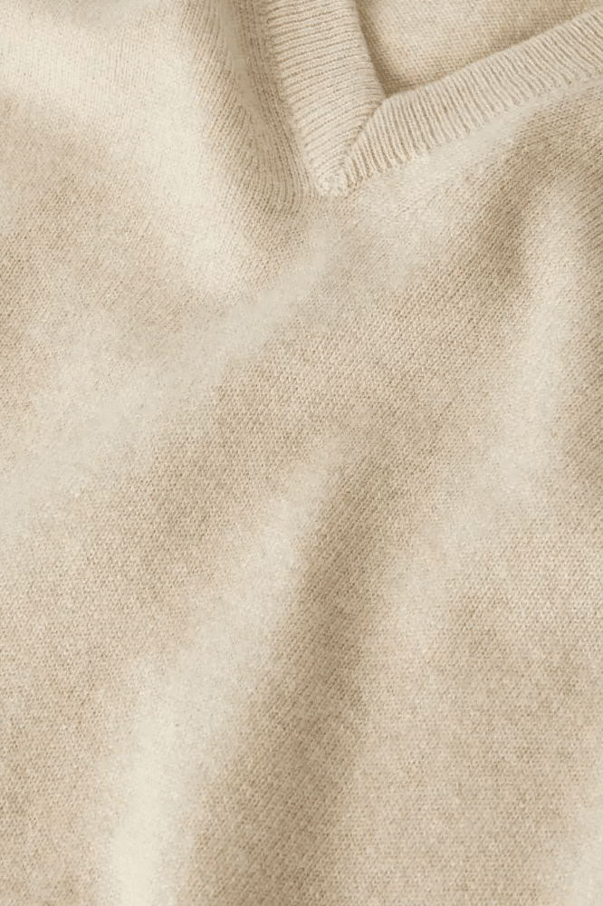 <tc>Loro Piana</tc> メンズ クラシック Vネック