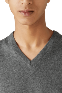 <tc>Loro Piana</tc> メンズ クラシック Vネック