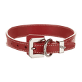 files/GOY35395_1_enlarged_1_9e7b5495-b2c4-4aec-bf96-26f7a4385b1a.png