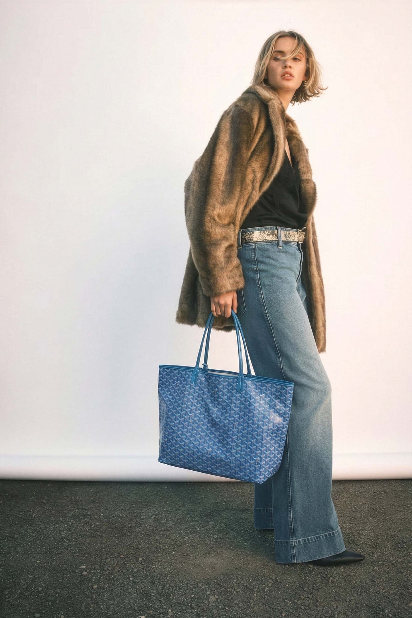 <tc>Goyard</tc> Bolsa GM de San Luis