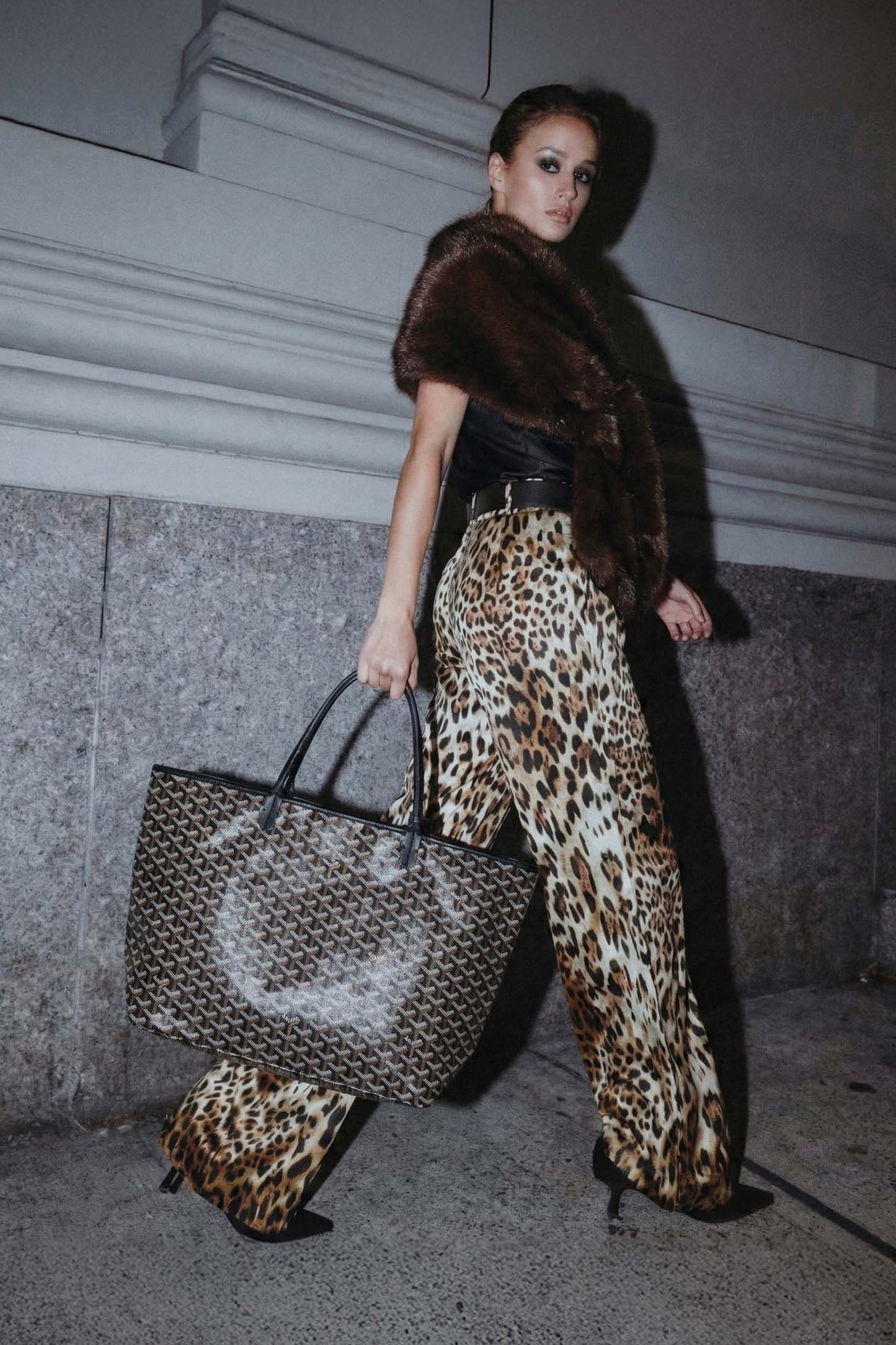 <tc>Goyard</tc> Bolsa GM de San Luis