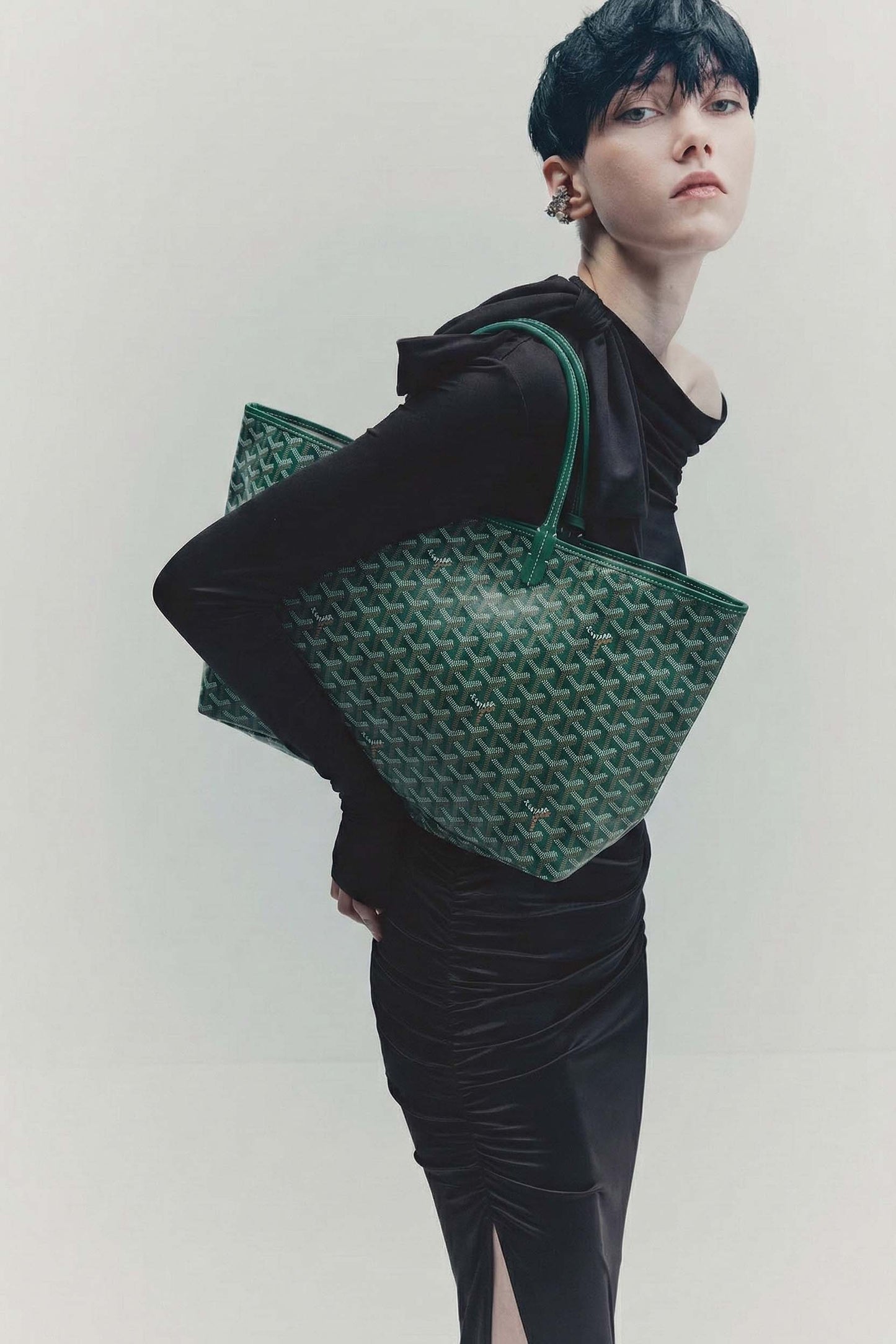 <tc>Goyard</tc> Bolsa GM de San Luis