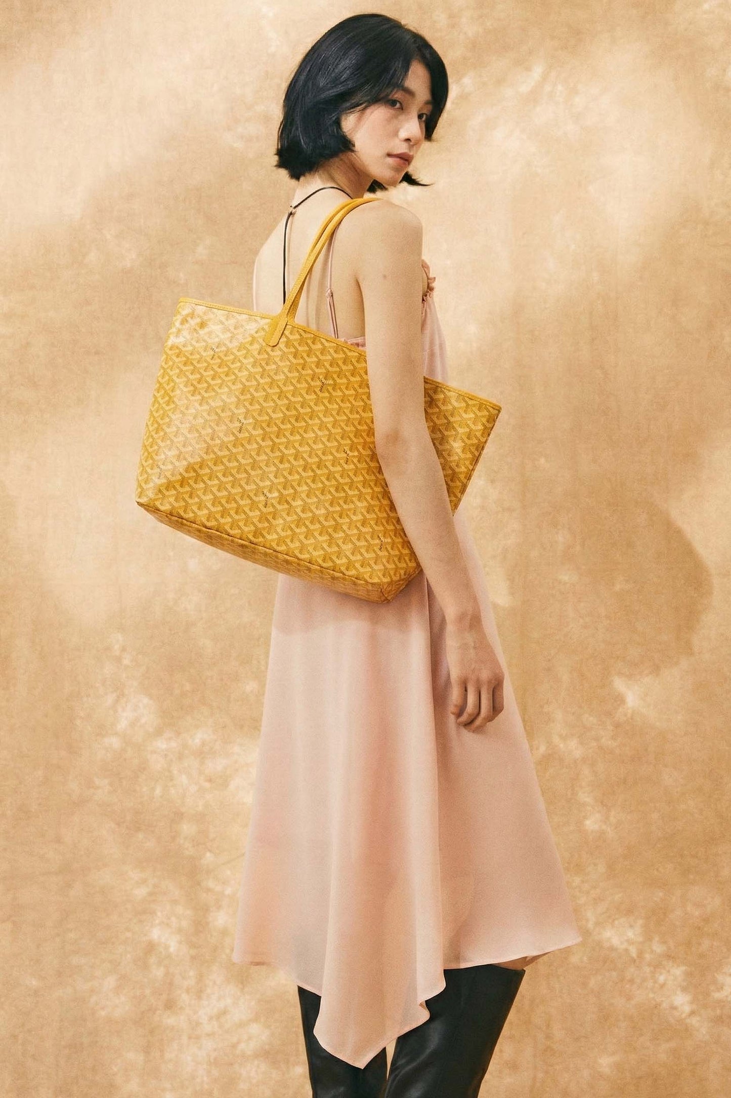 <tc>Goyard</tc> Bolsa GM de San Luis