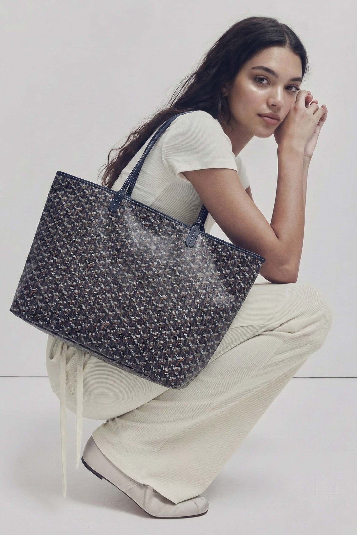 <tc>Goyard</tc> Bolsa GM de San Luis