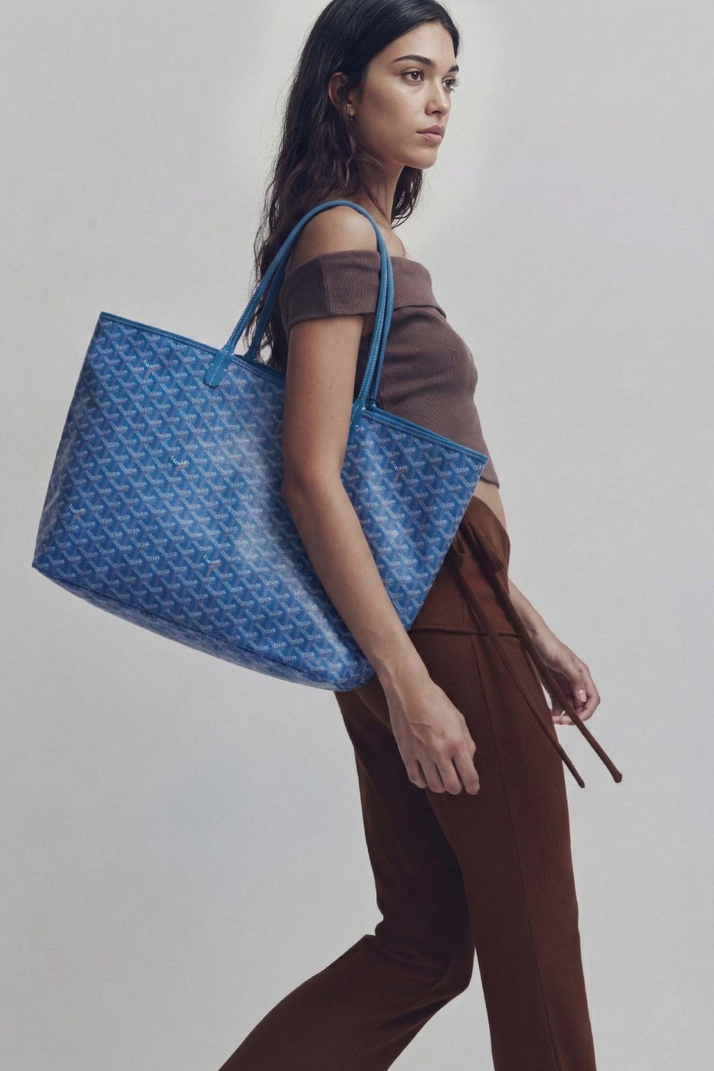 <tc>Goyard</tc> Bolsa GM de San Luis