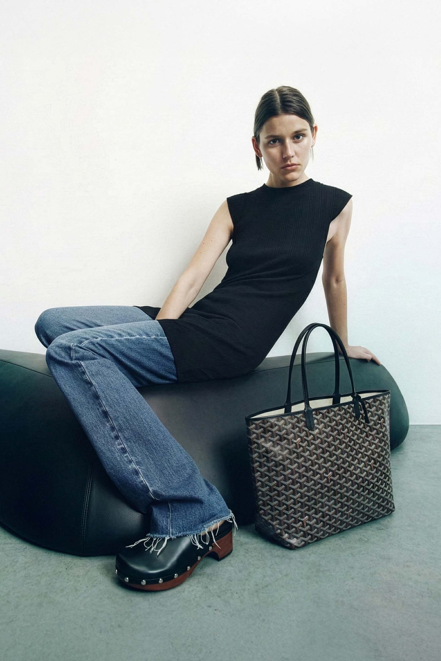 <tc>Goyard</tc> Bolsa GM de San Luis