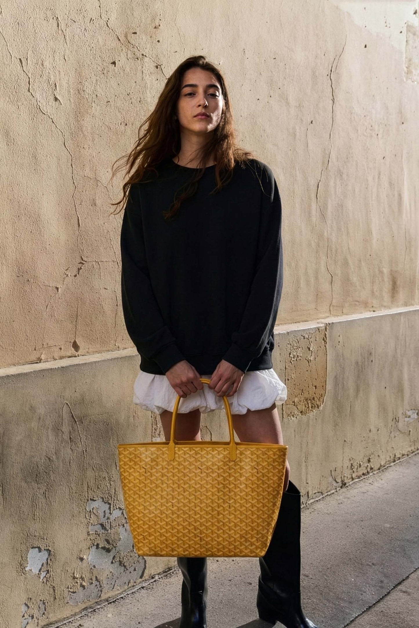 <tc>Goyard</tc> Bolsa GM de San Luis