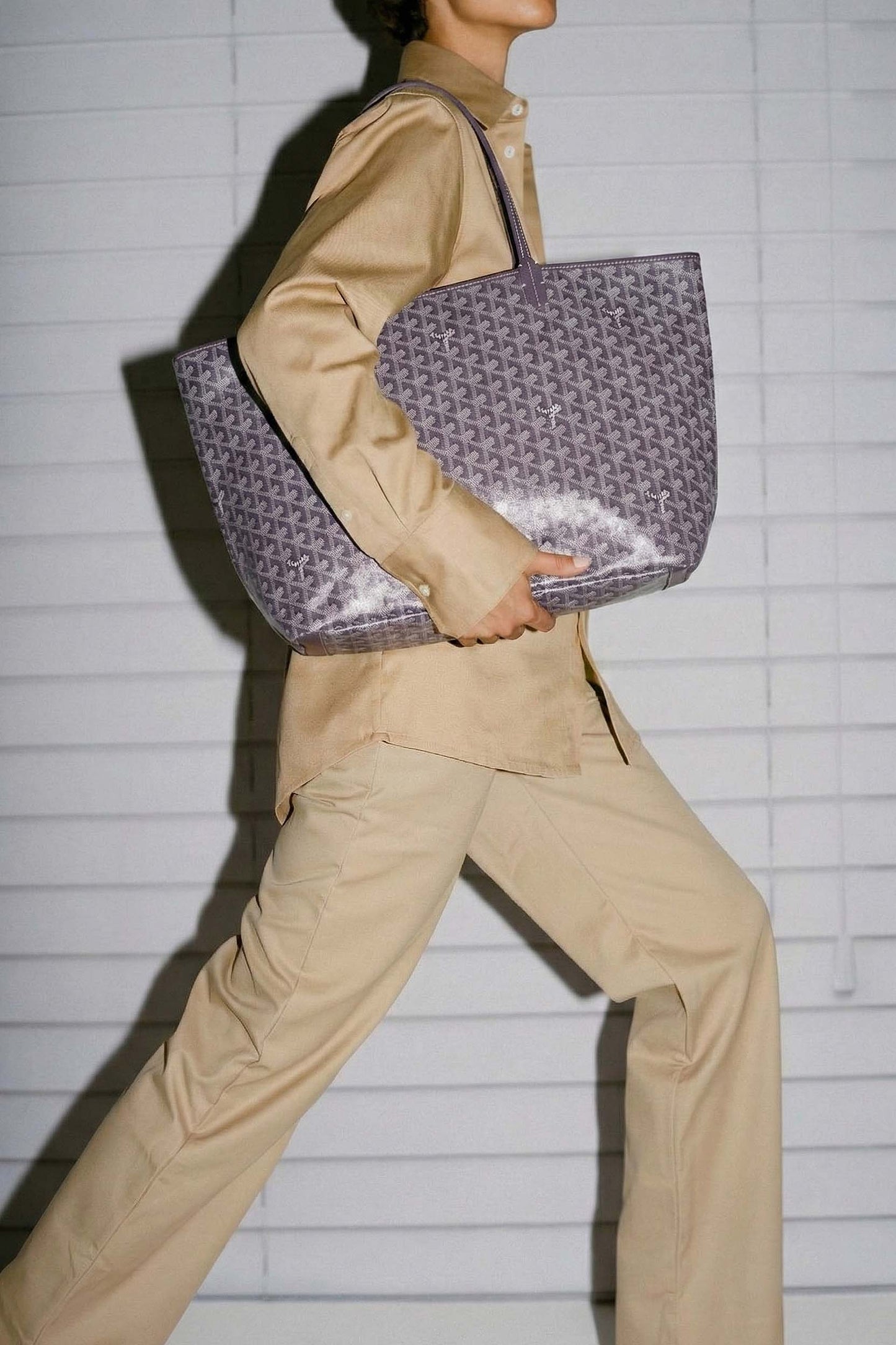 <tc>Goyard</tc> Bolsa GM de San Luis