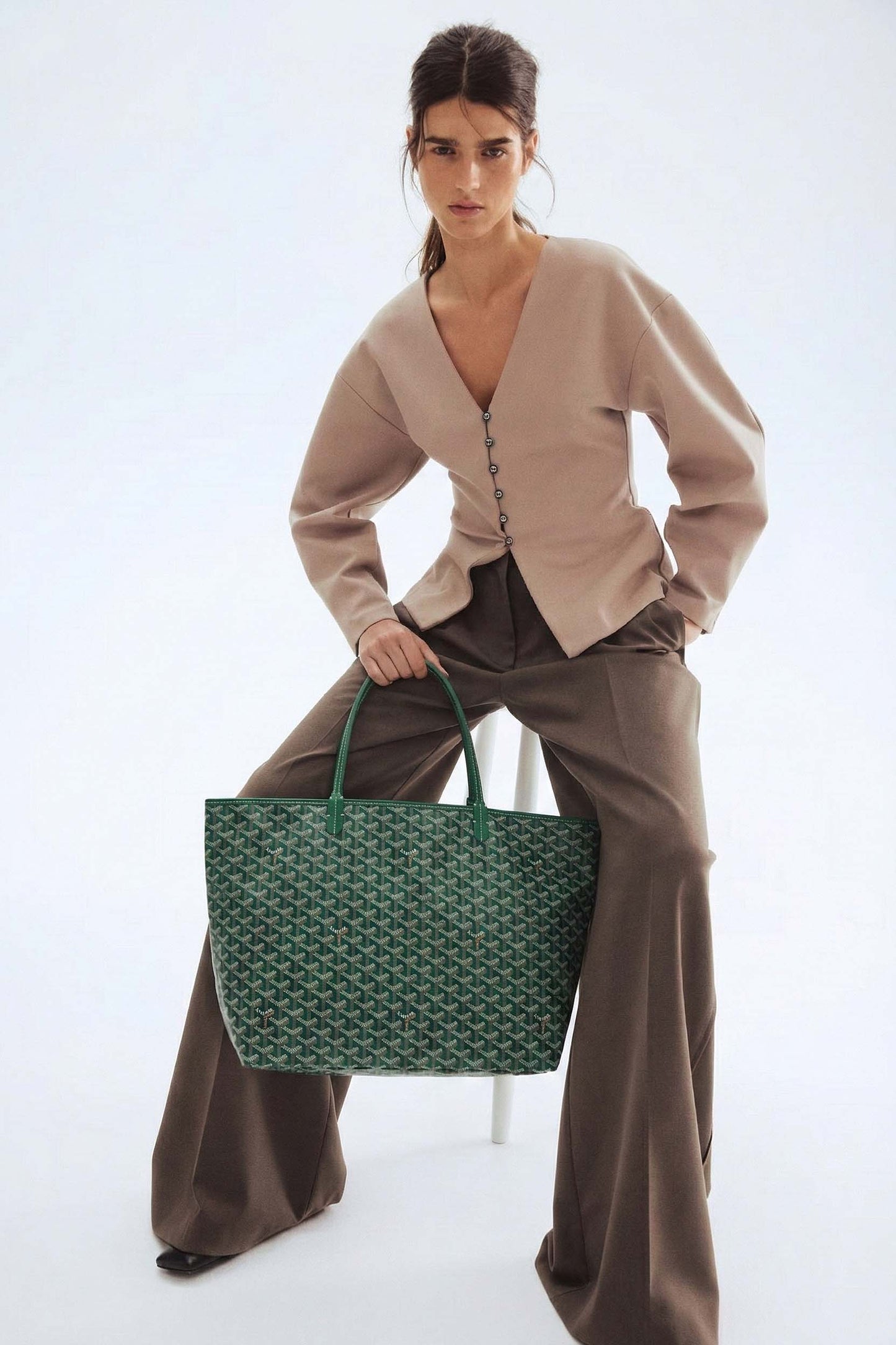 <tc>Goyard</tc> Bolsa GM de San Luis