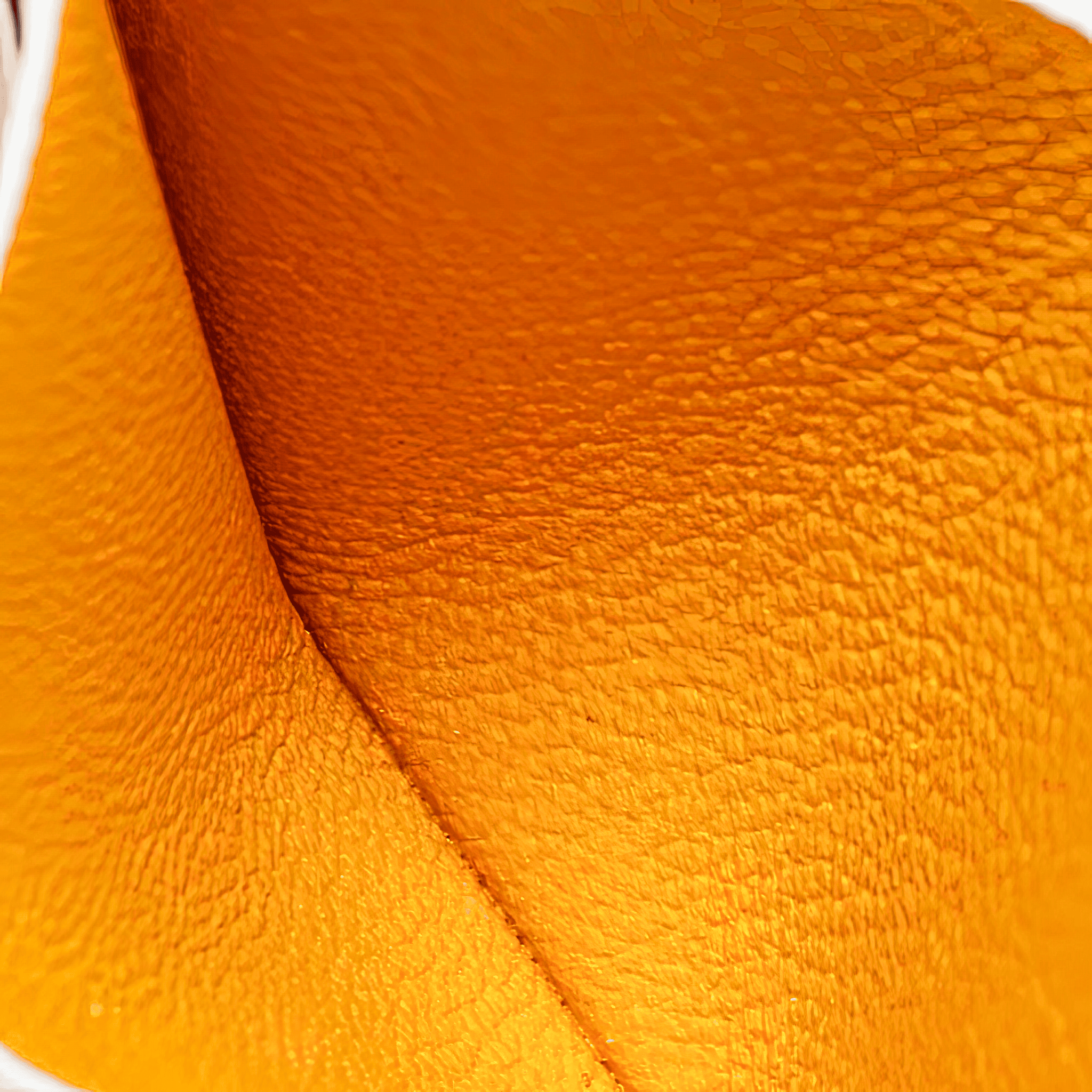 <tc>Goyard</tc> 聖敘爾皮斯卡錢包