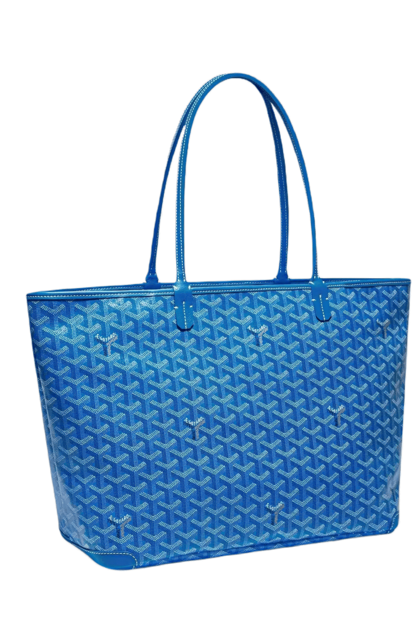 Goyard กระเป๋า Artois MM