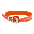 files/UntitledProject_2_e625e1c9-89a4-420c-af95-ed3d7a0fce3b.png