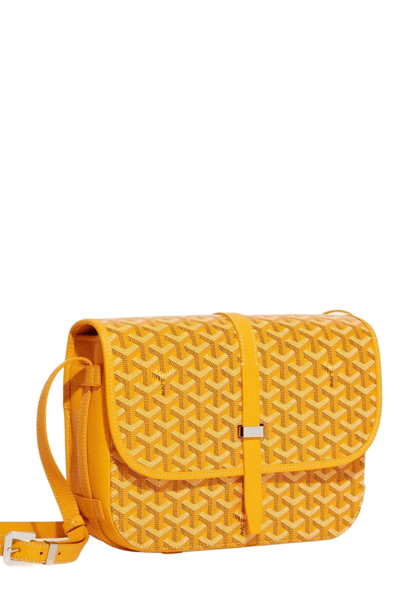 <tc>Goyard</tc> Sac Belvédère MM