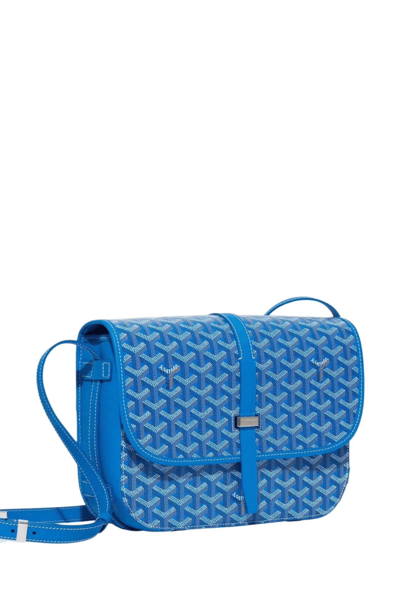 Goyard Belvédère PM bag