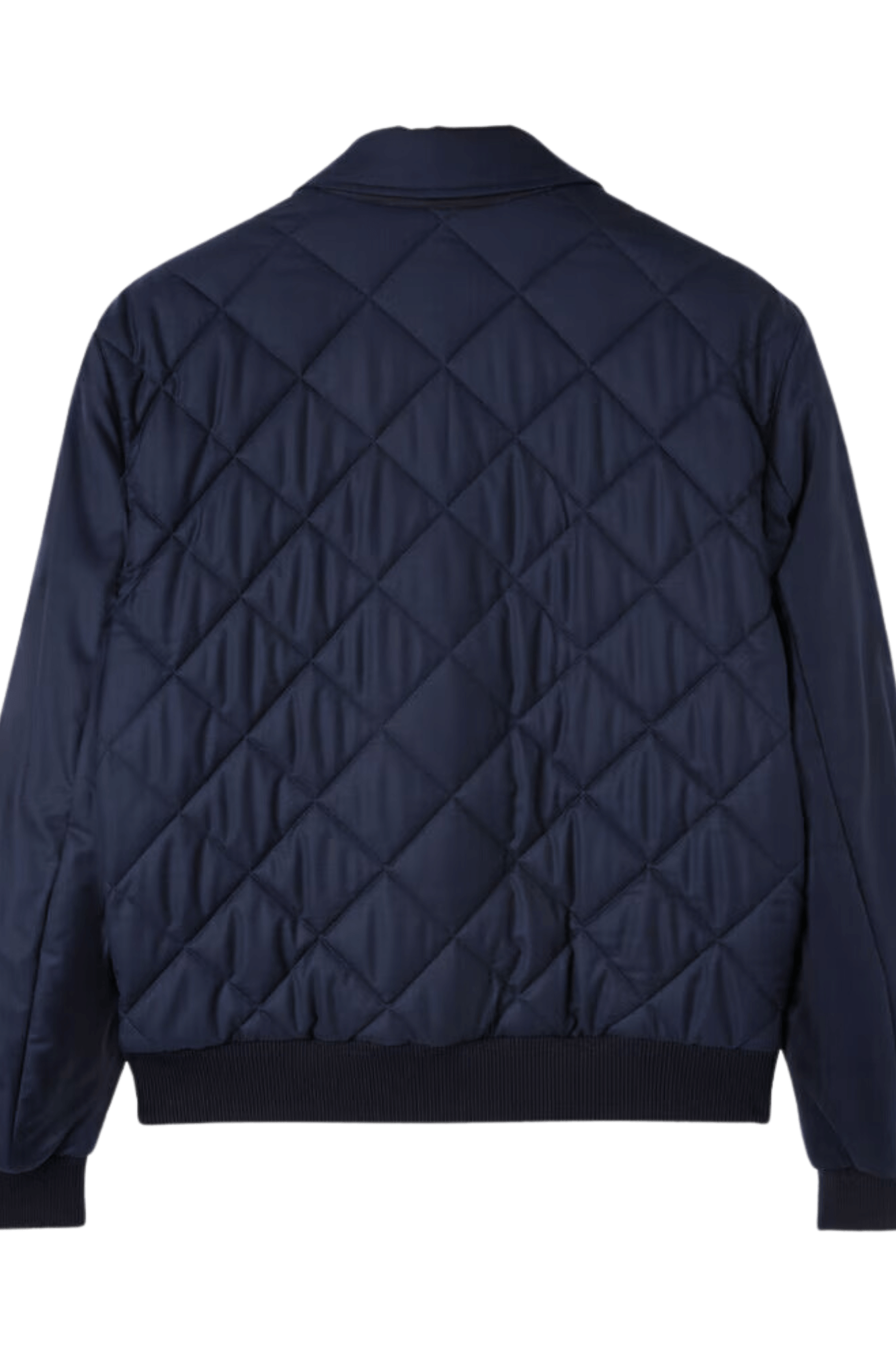<tc>Loro Piana</tc> 男士 Ampay 飞行员夹克