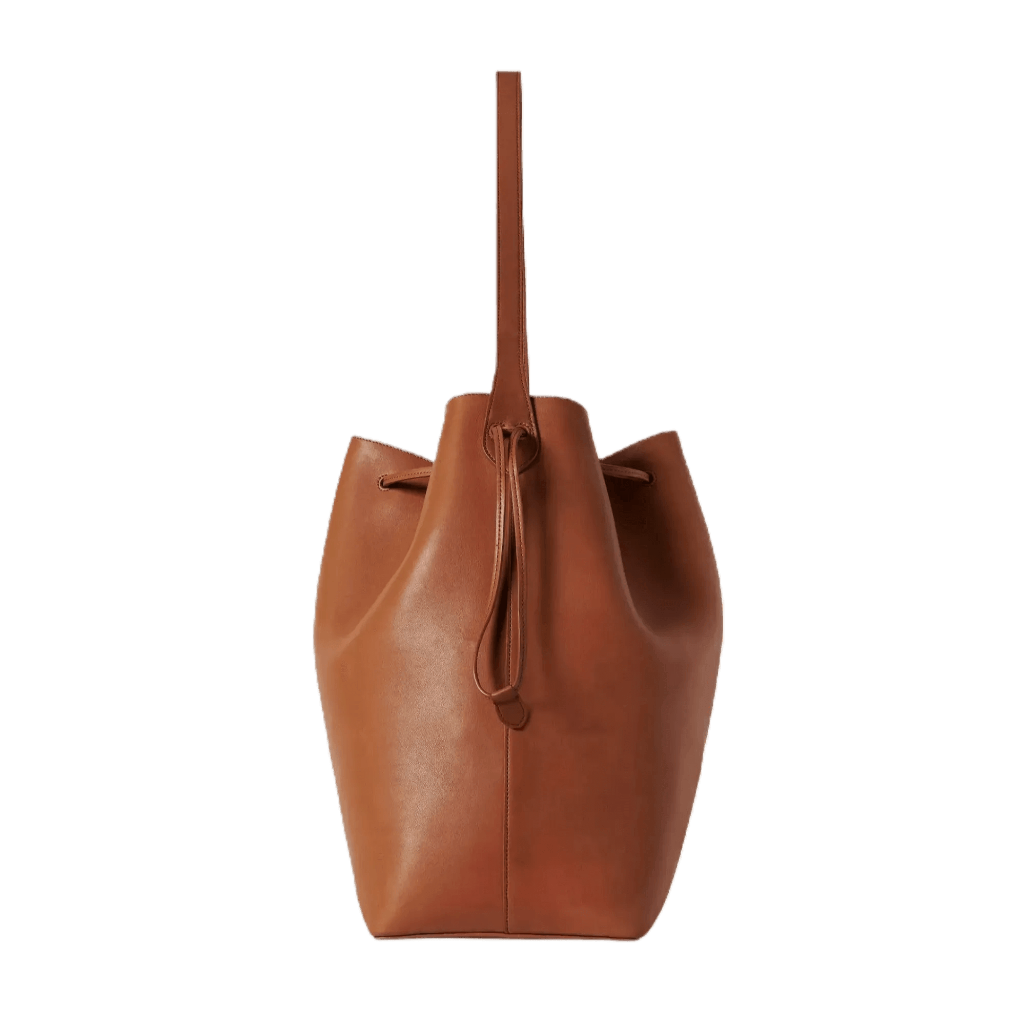 The Row Belvedere Tote Bag in Leather
