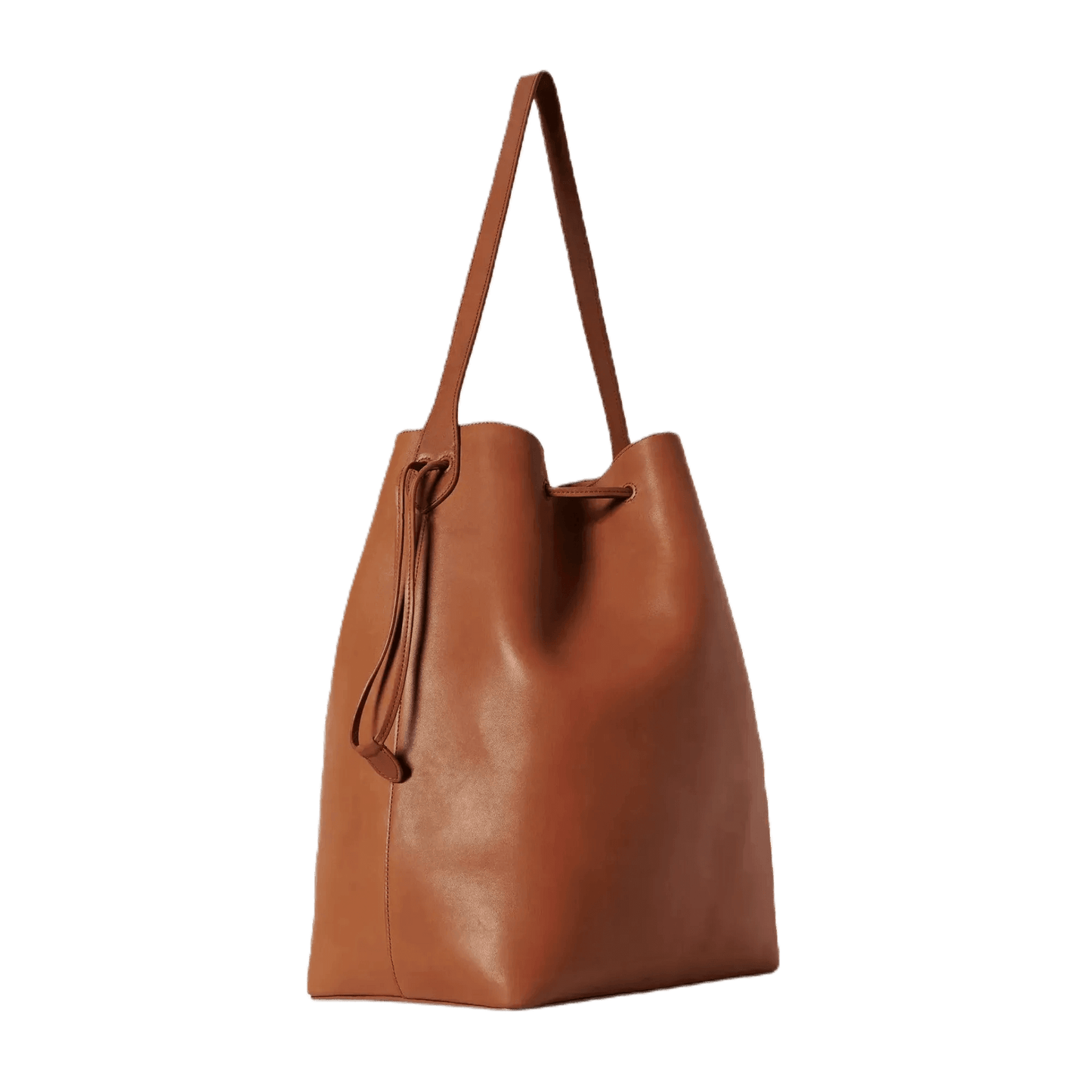 The Row Belvedere Tote Bag in Leather